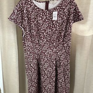 LOFT Women's Maroon and White Midi Dress